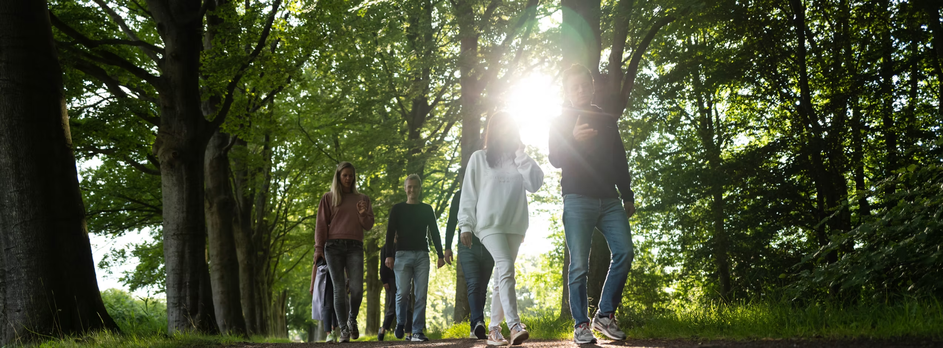 Group walking through the forest together